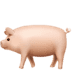 :pig2: :pig2: