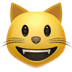 :smiley_cat: :smiley_cat: