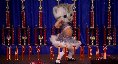 funny-girl-cat-dance-happy-birthday-gif