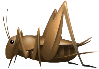 :crickets: :crickets: