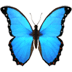:butterfly: :butterfly: