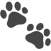 :paw_prints: :paw_prints: