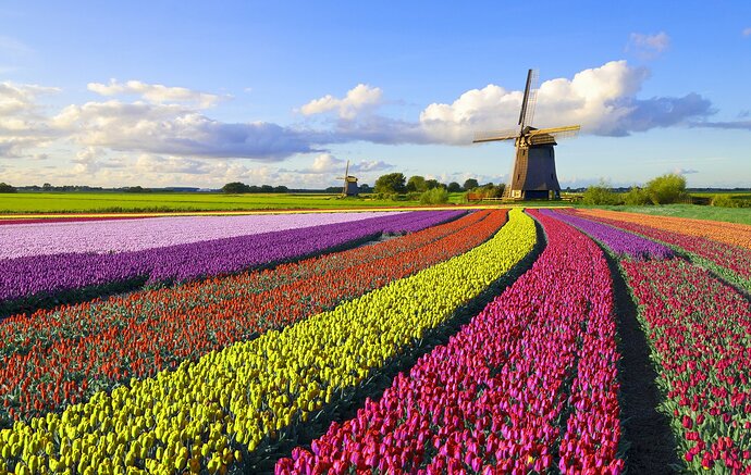 holland