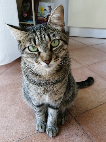 IMG_20250803_110425_1_1_1_1