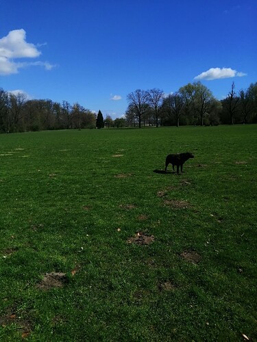 Empty Park