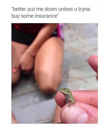 down-unless-you-tryna-buy-some-insurance-above-a-pic-of-a-girl-holding-a-little-gecko-in-her-hand