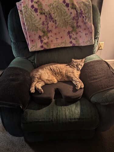 Sombra Recliner