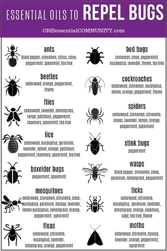 Oils to repel bugs