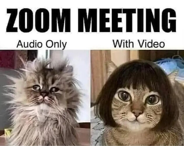 zoom-meeting