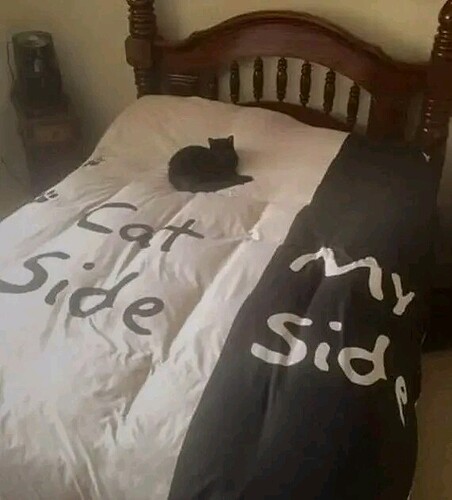 cat-side