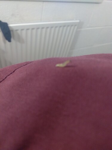 slither