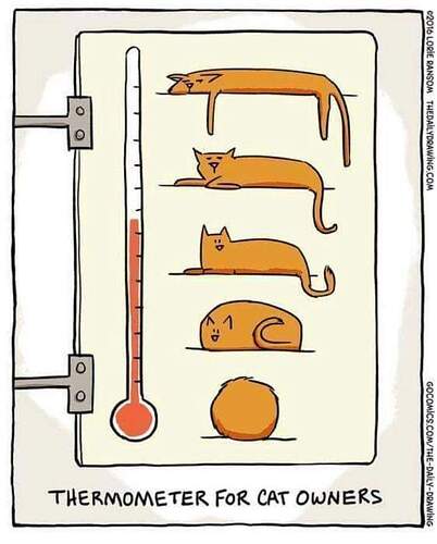 thermometer