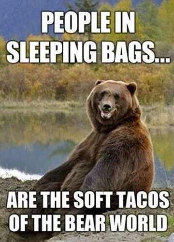 brown-bear-people-sleeping-bags-are-soft-tacos-bear-world