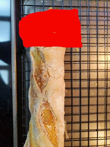 Sourdough dick2