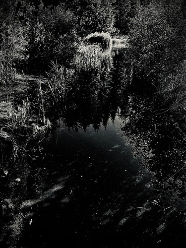 IMG_4769