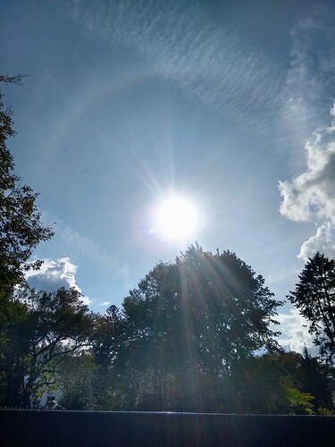 Sunbow