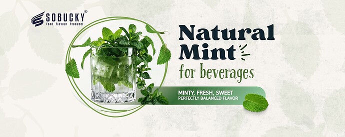 thumb_141-NATURAL-MINT-B2B-EN