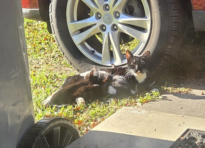 2025-11-27 08.41.06-1