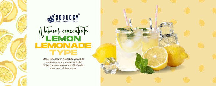 thumb_137-Lemon-Lemonade-Type-b2b-EN