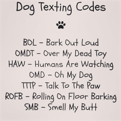 Dog Text1