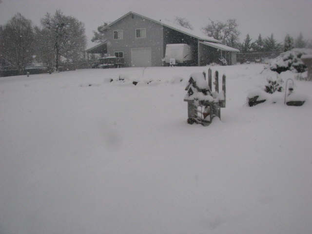 !Snow Days