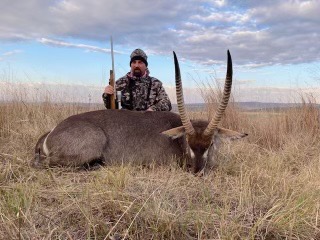 Waterbuck