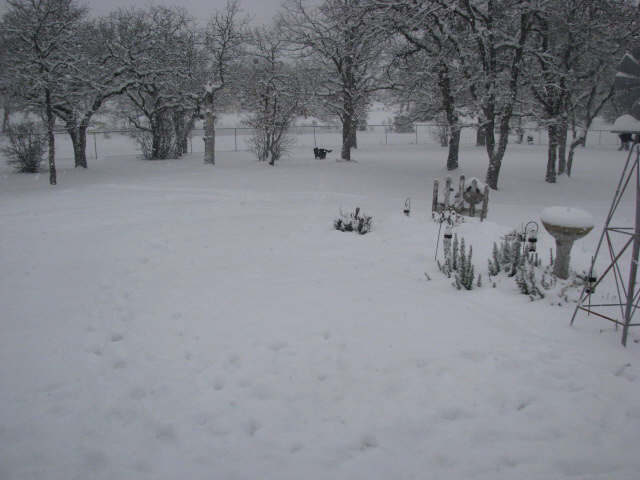 !Snow Days2