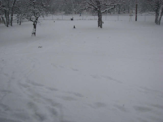 !Snow Days3