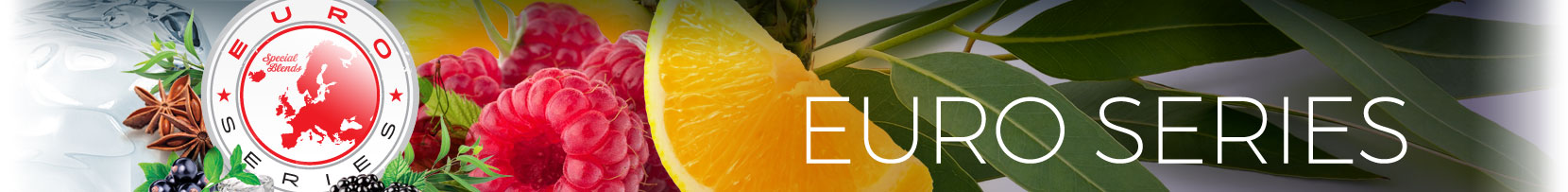Banner-EuroSeries-1660x203-2019