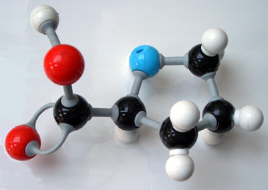 Screenshot_2020-10-30 Proline model - Molecular model - Wikipedia