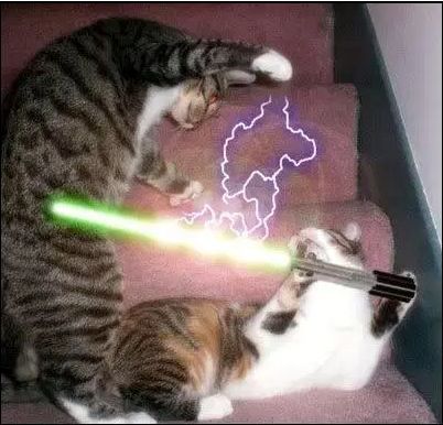 cats star wars fight